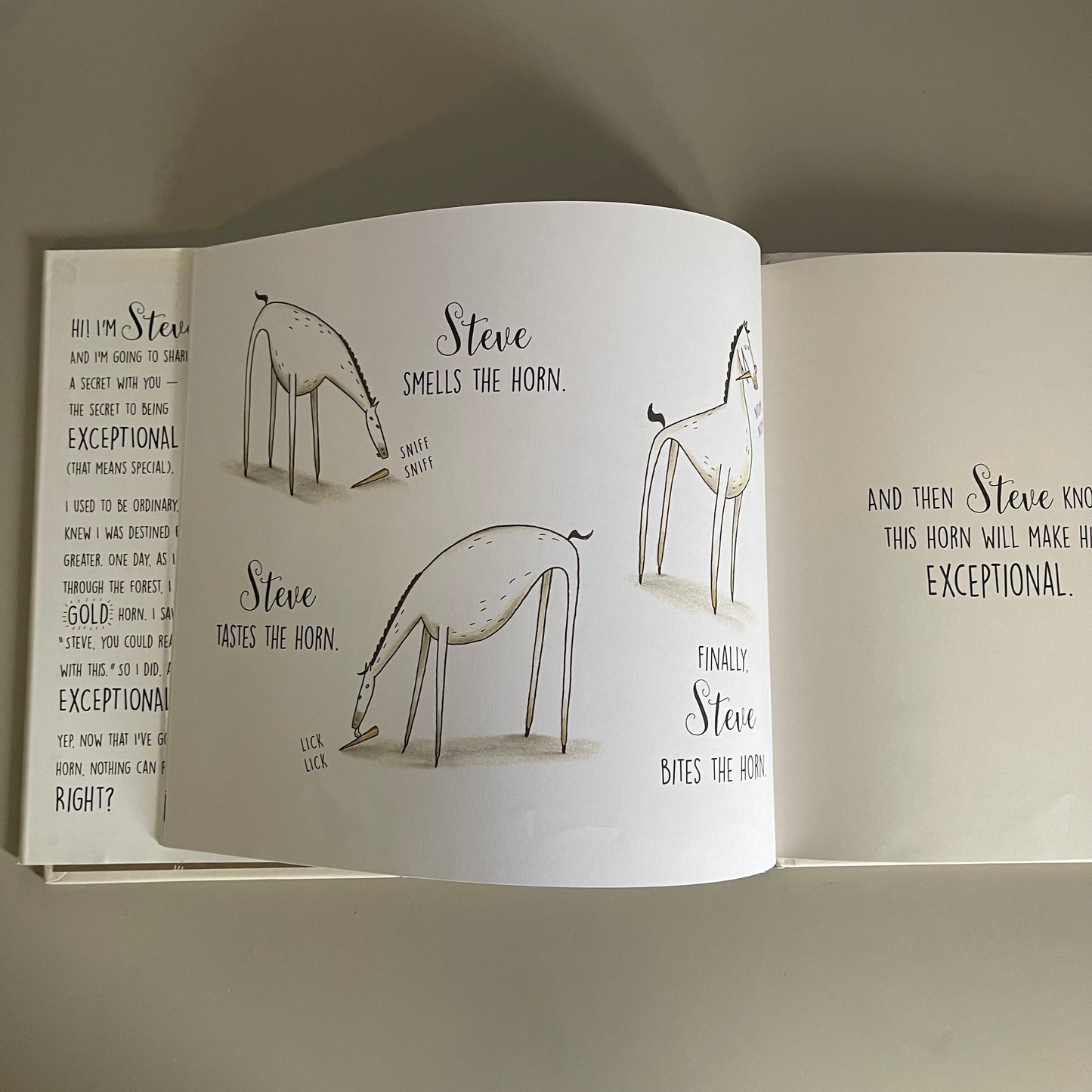 A Horse Named Steve / Kelly Collier