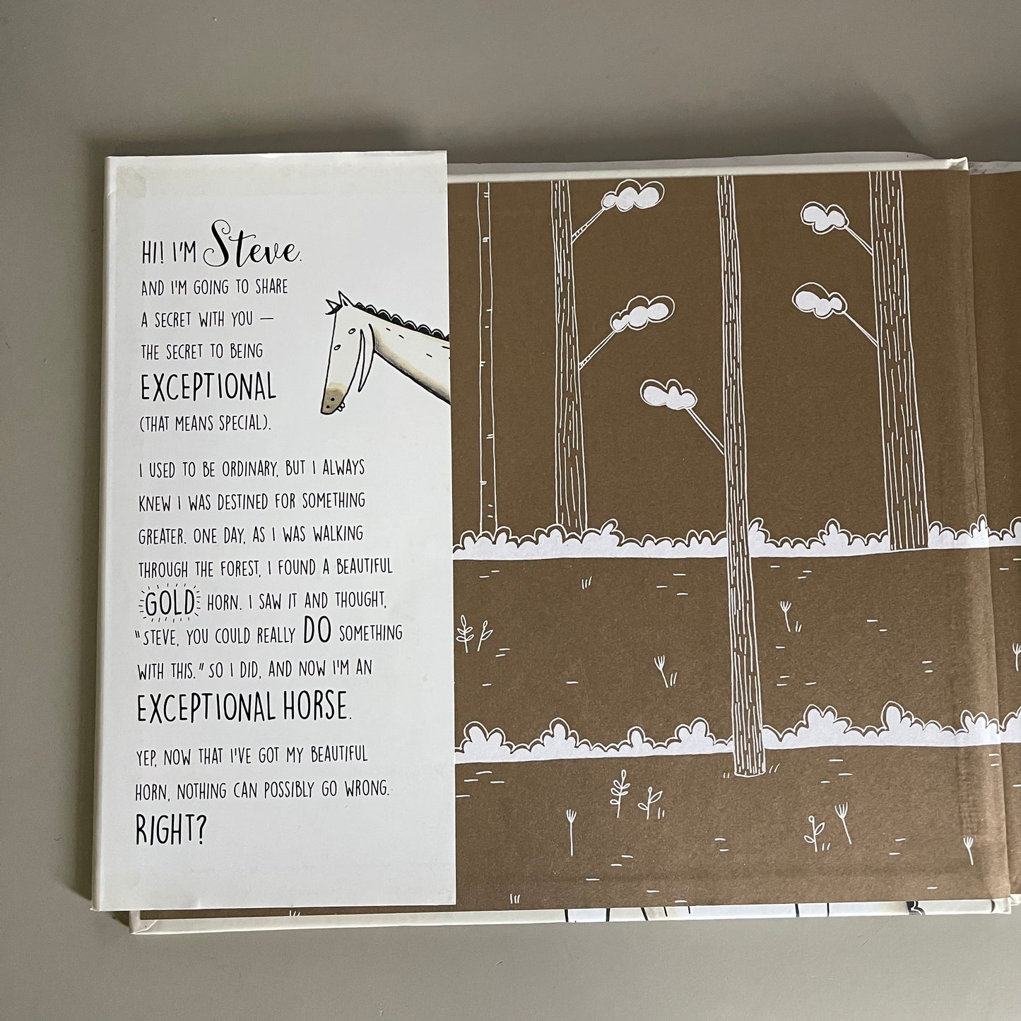 A Horse Named Steve / Kelly Collier