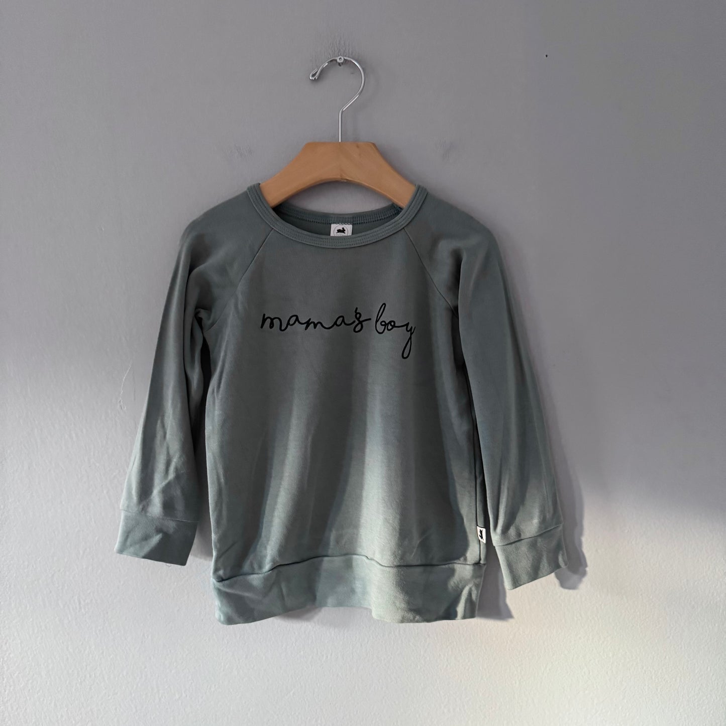 Little & Lively / Smokey green long sleeve / 3-4T