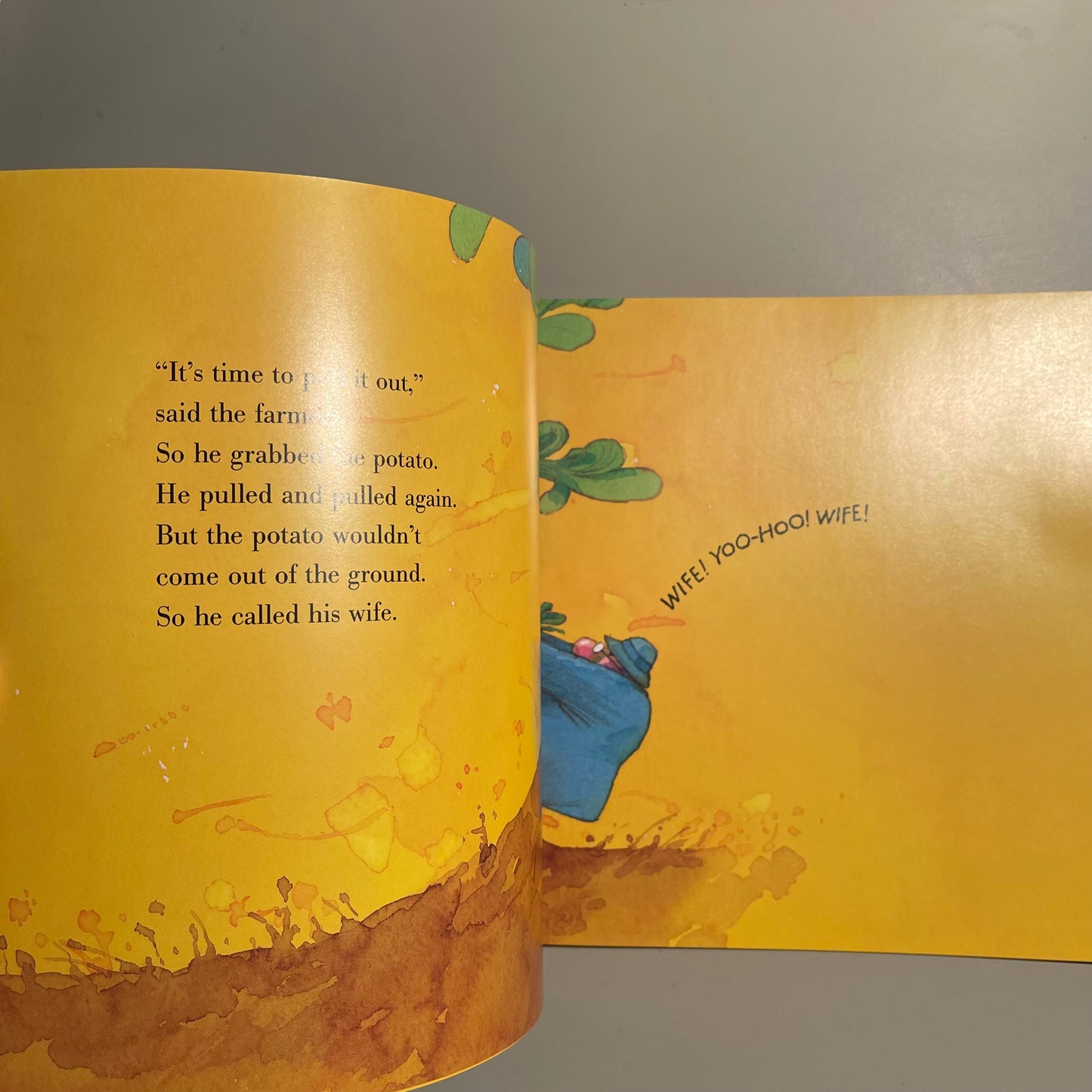 The Enormous Potato / Audrey Davis