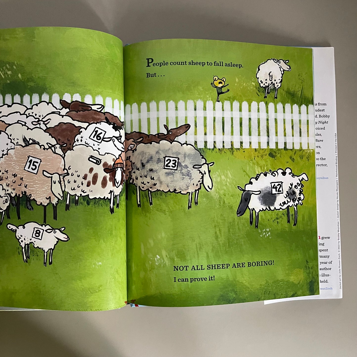 [Brand New] Not All Sheep Are Boring! / Bobby Moynihan