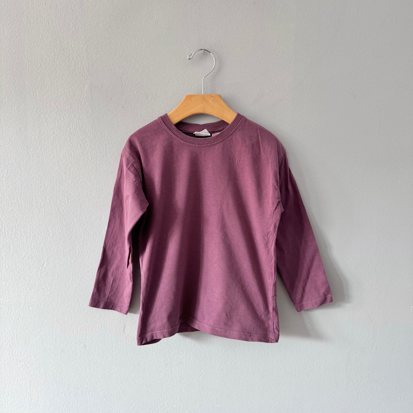 Zara / Brown long sleeve T-shirt / 4-5Y