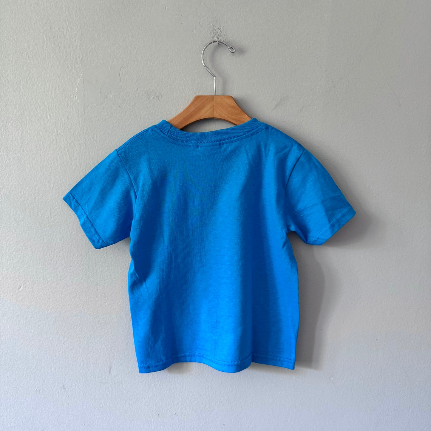No brand / Dr. Seuss blue T-shirt / 3T - Brand new