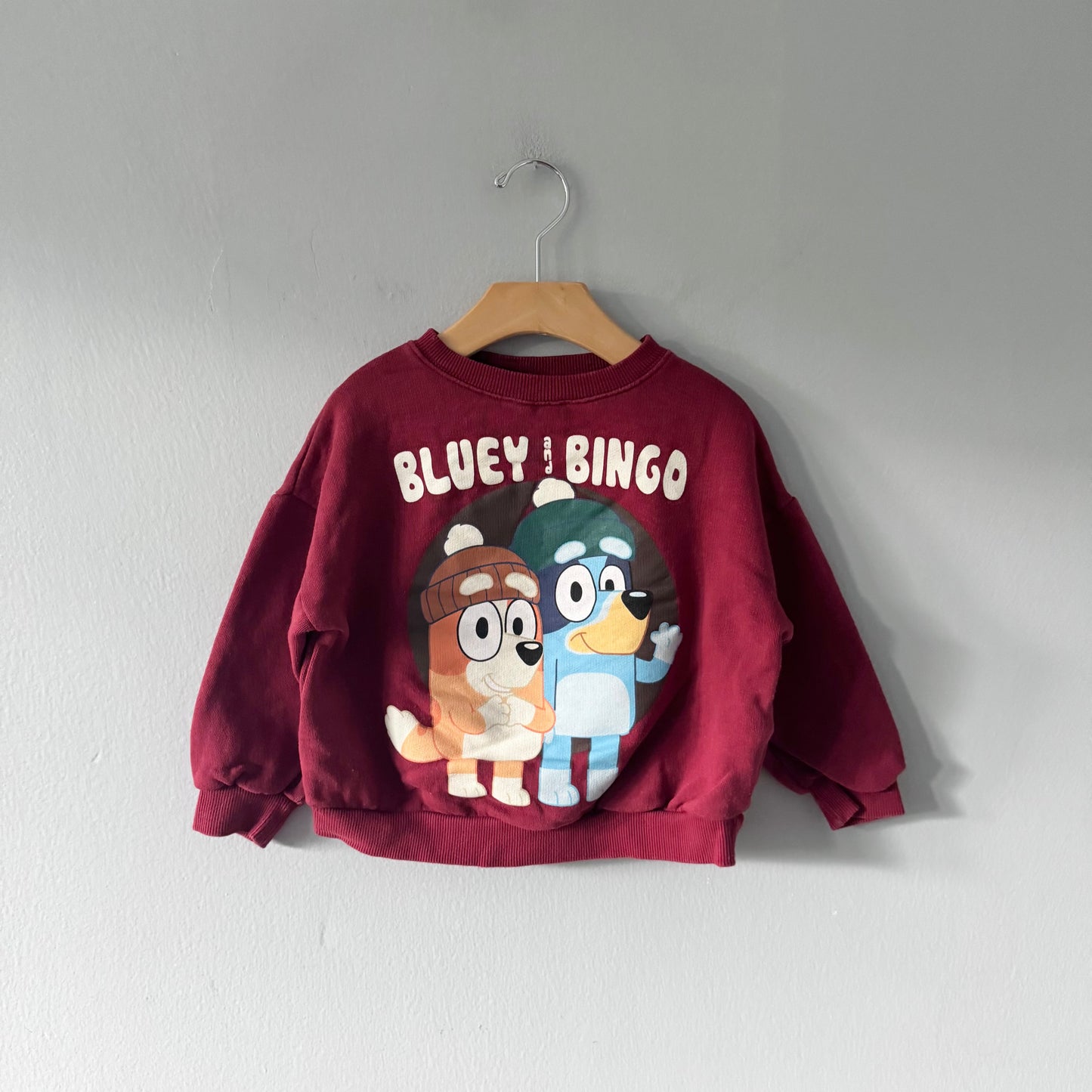 Zara / Bluey and Bingo sweatshirt / 4-5Y