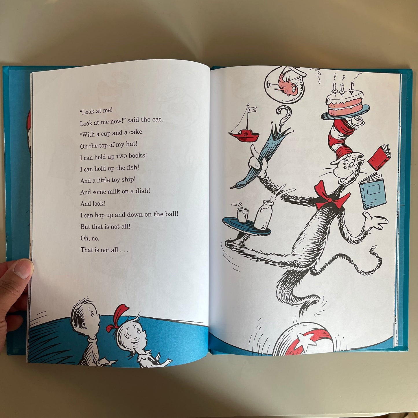 The Cat In The Hat [Large Book] / Dr. Seuss