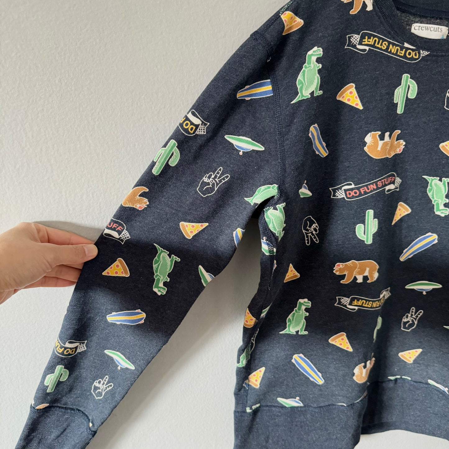 Crewcuts / Navy sweatshirt - Pizza, dinosaur, bear / 12Y