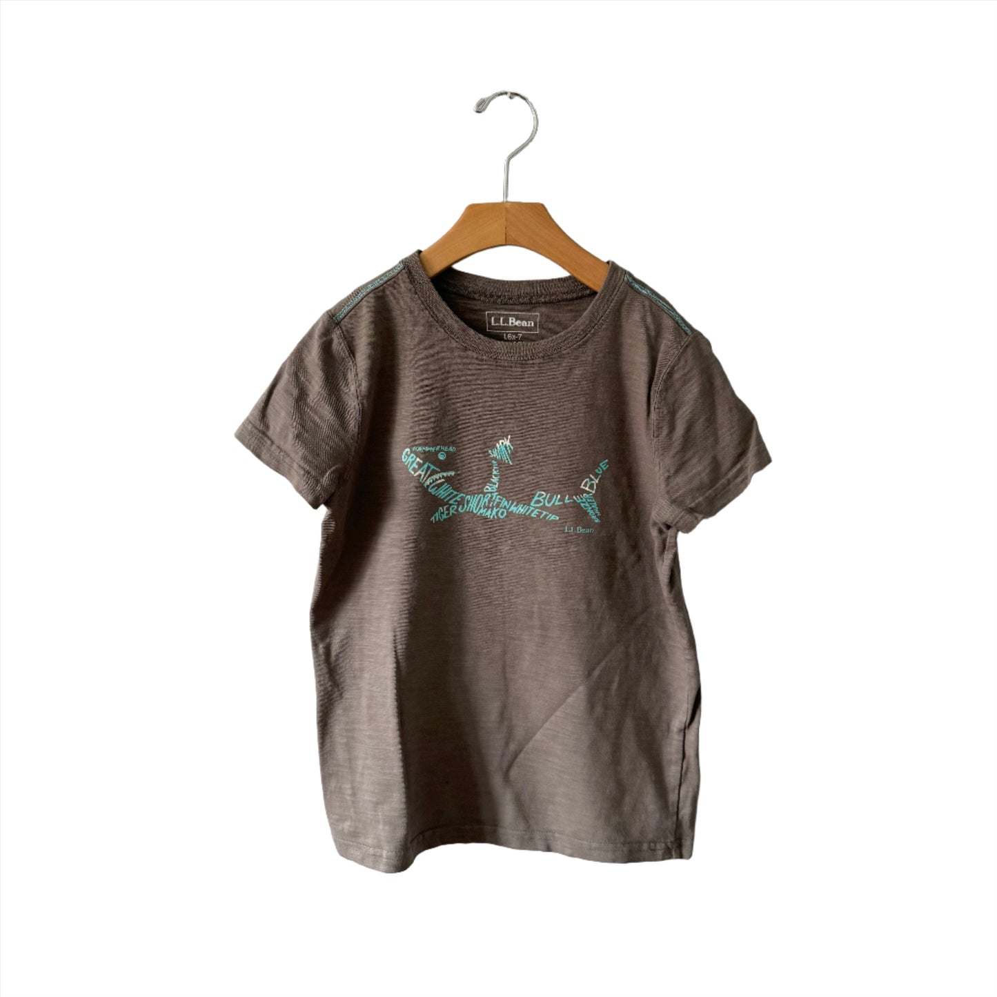 LL Bean / T-shirt (Shark) / 6-7Y