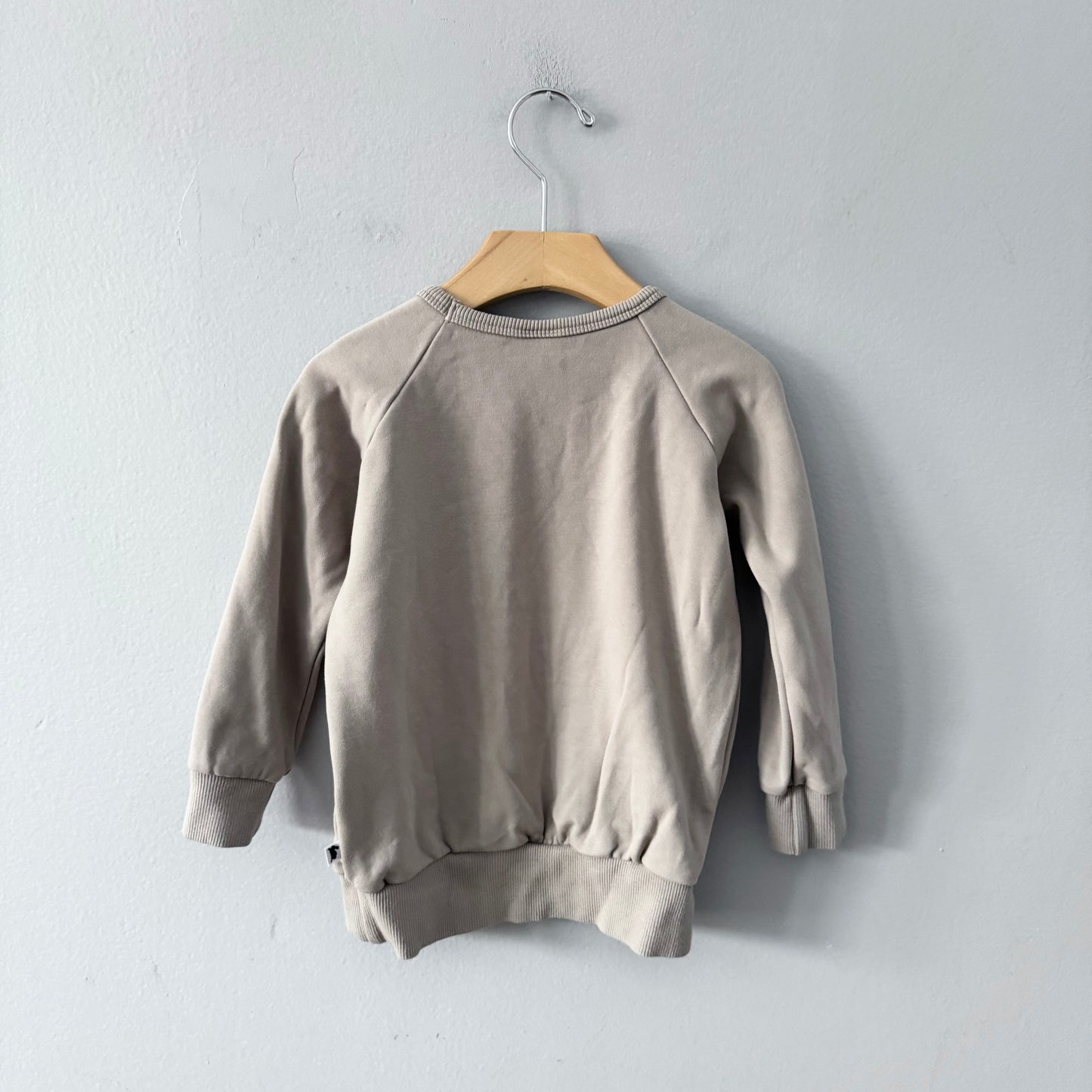 Little & Lively	/ Grey fairy fleece lined crew top / 3-4T