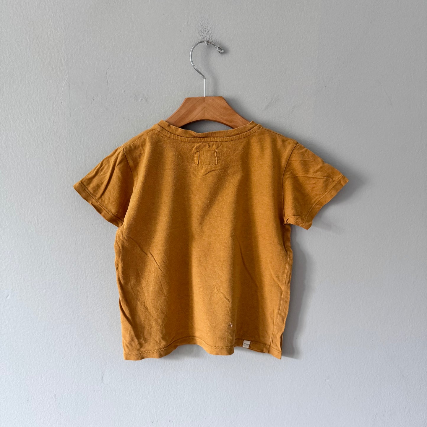 Mini mioche / Mustard V neck T-shirt / 3-4Y