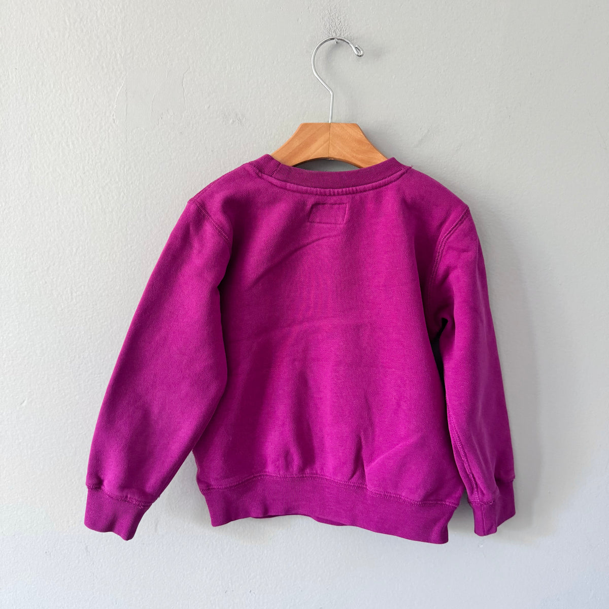 Roots / Purple sweatshirt / 5T