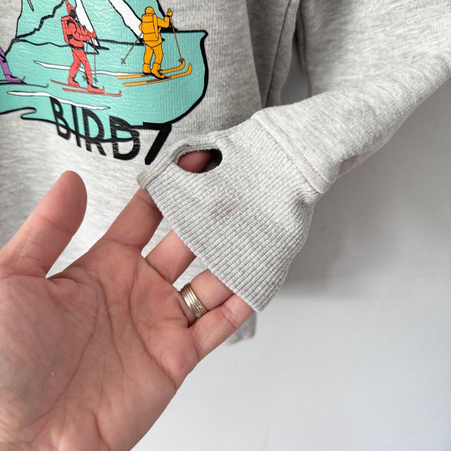 Birdz / Light grey sweatshirt / 6Y