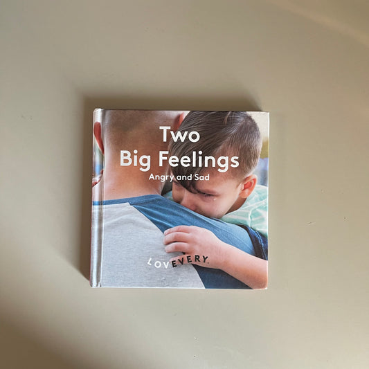 Two Big Feelings / Lovevery
