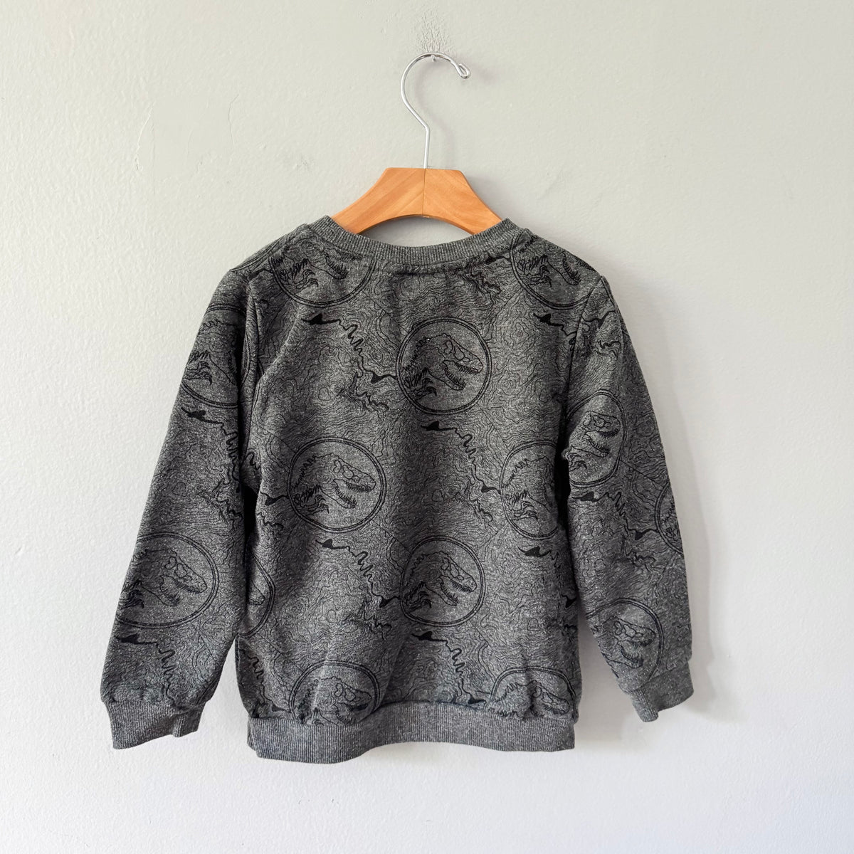 Jurassic World / Dark grey sweatshirt / 5-6Y