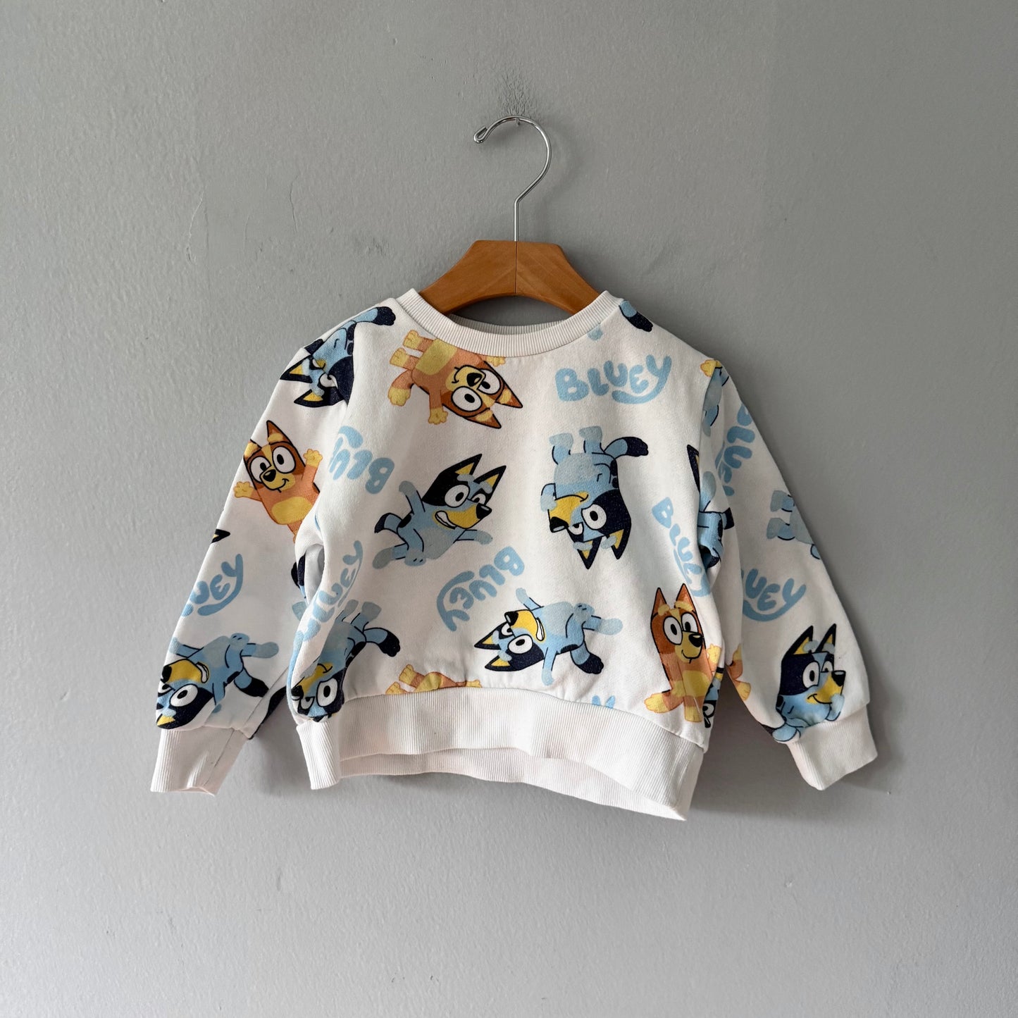 Bluey / White sweatshirt / 3T