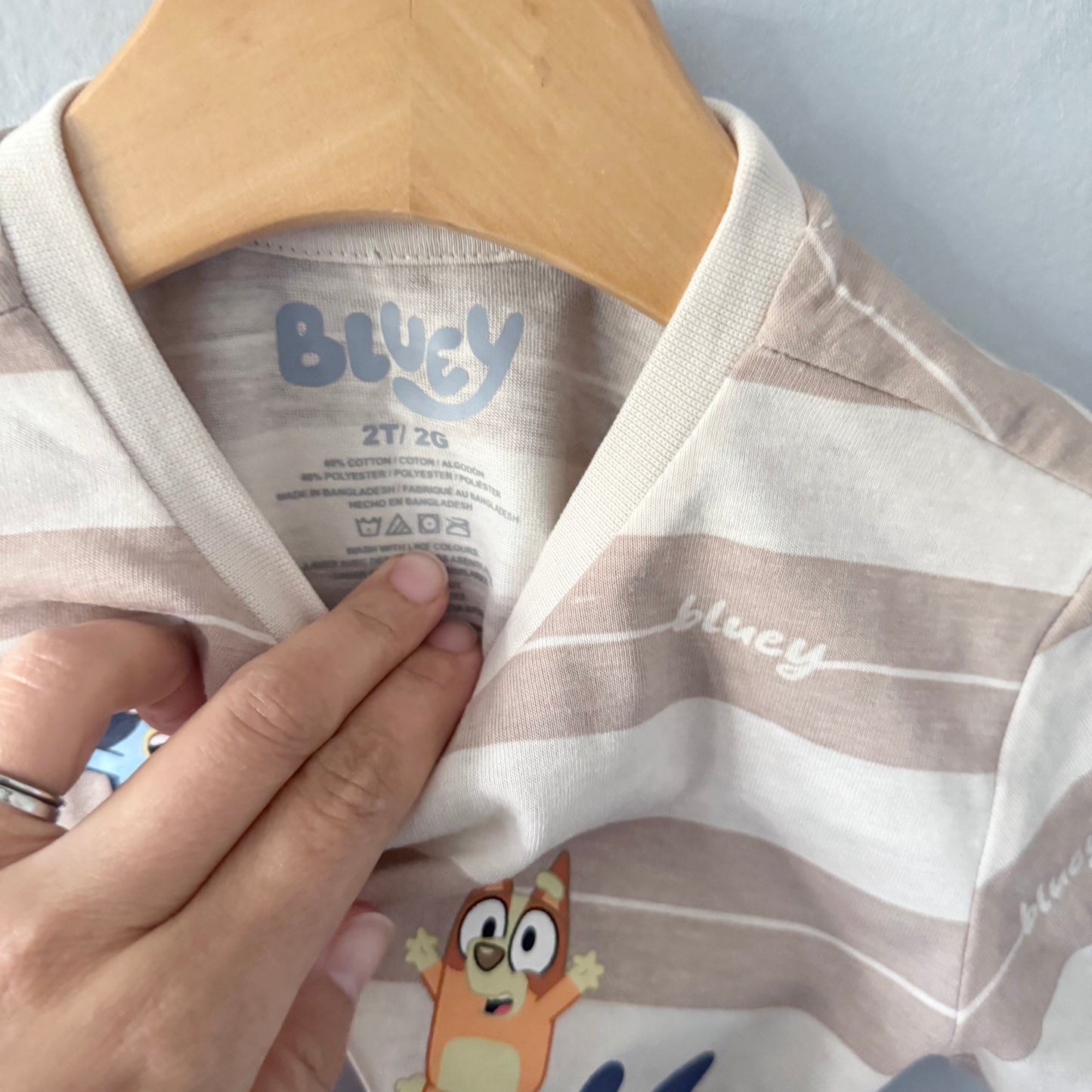 Bluey / Beige stripe T-shirt / 2T