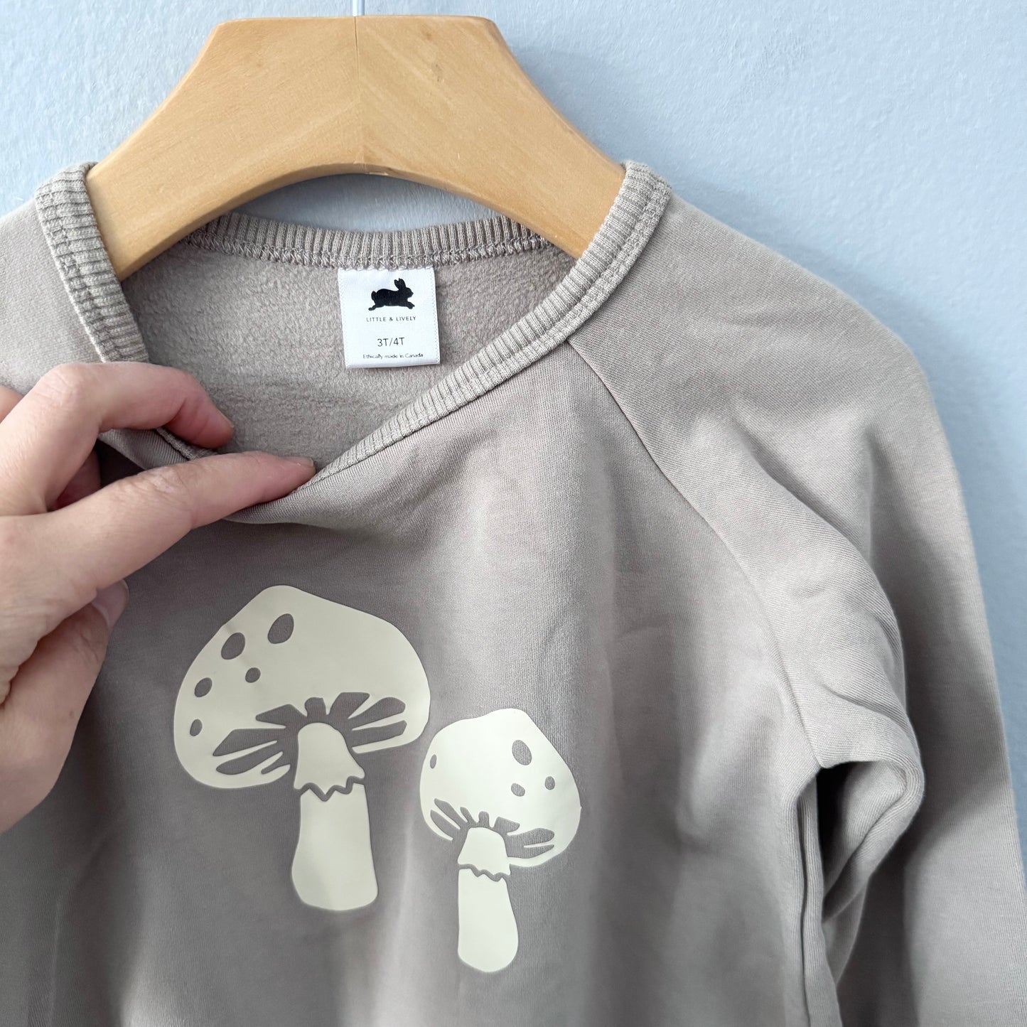 Little & Lively	/ Grey mushroom fleece lined crew top / 3-4T
