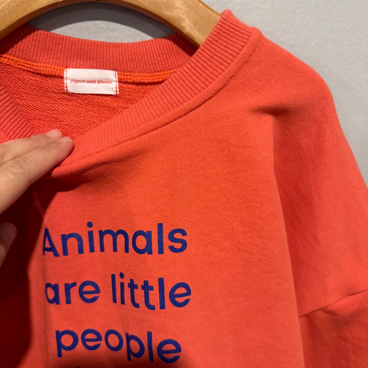 Pigeon said please. / Orange sweatshirt / 6Y