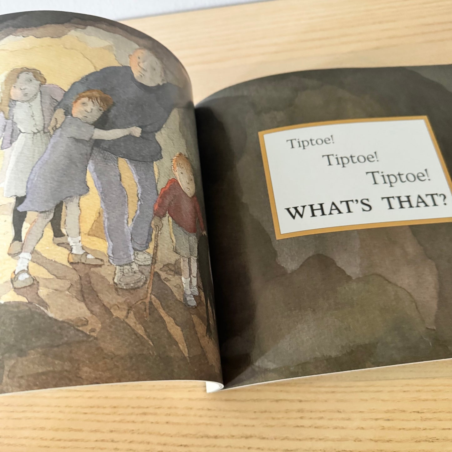 We're Goin on a Bear Hunt / Michael Rosen