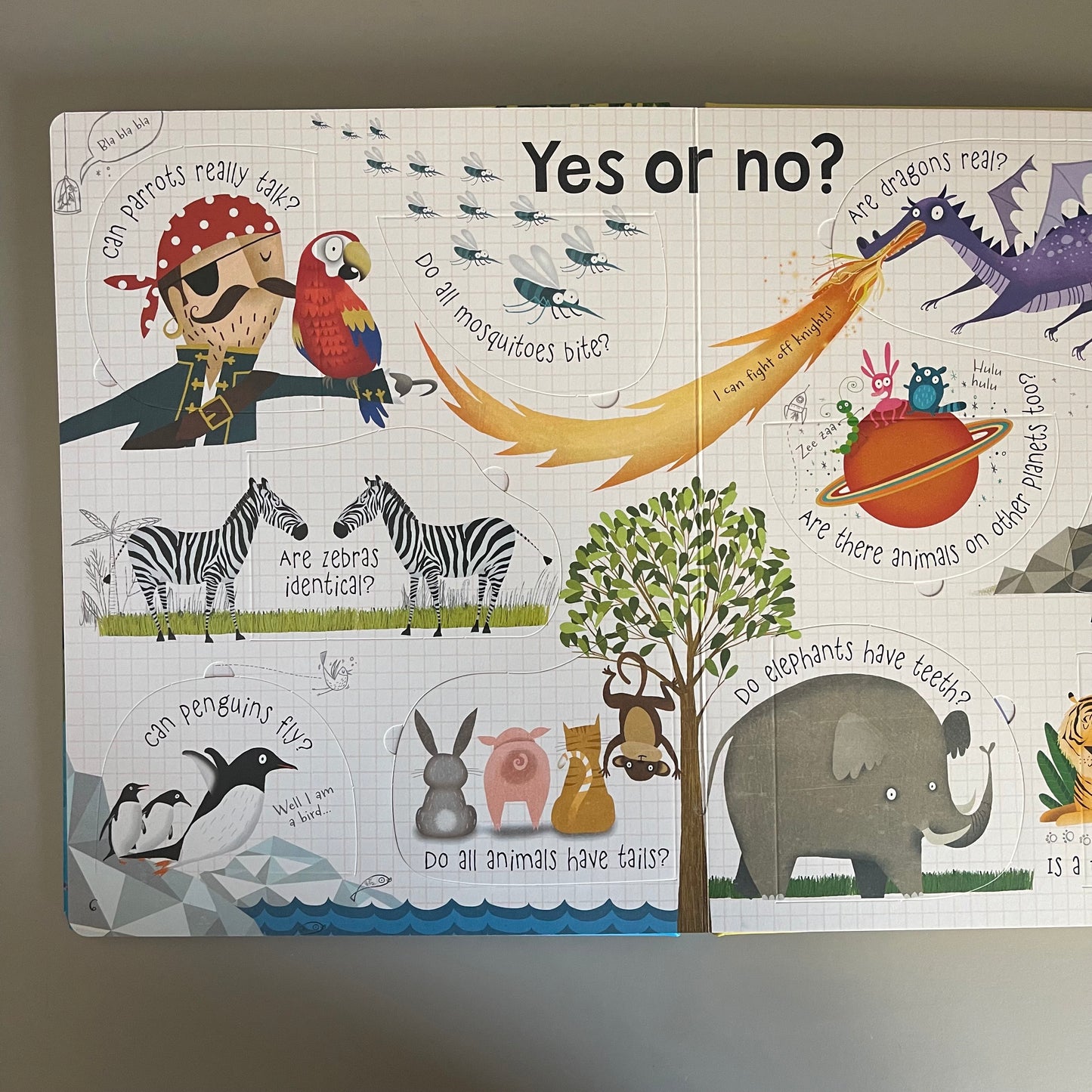 [Brand New] Usborne Lift-the-flap: Questions and Answers - about Animals