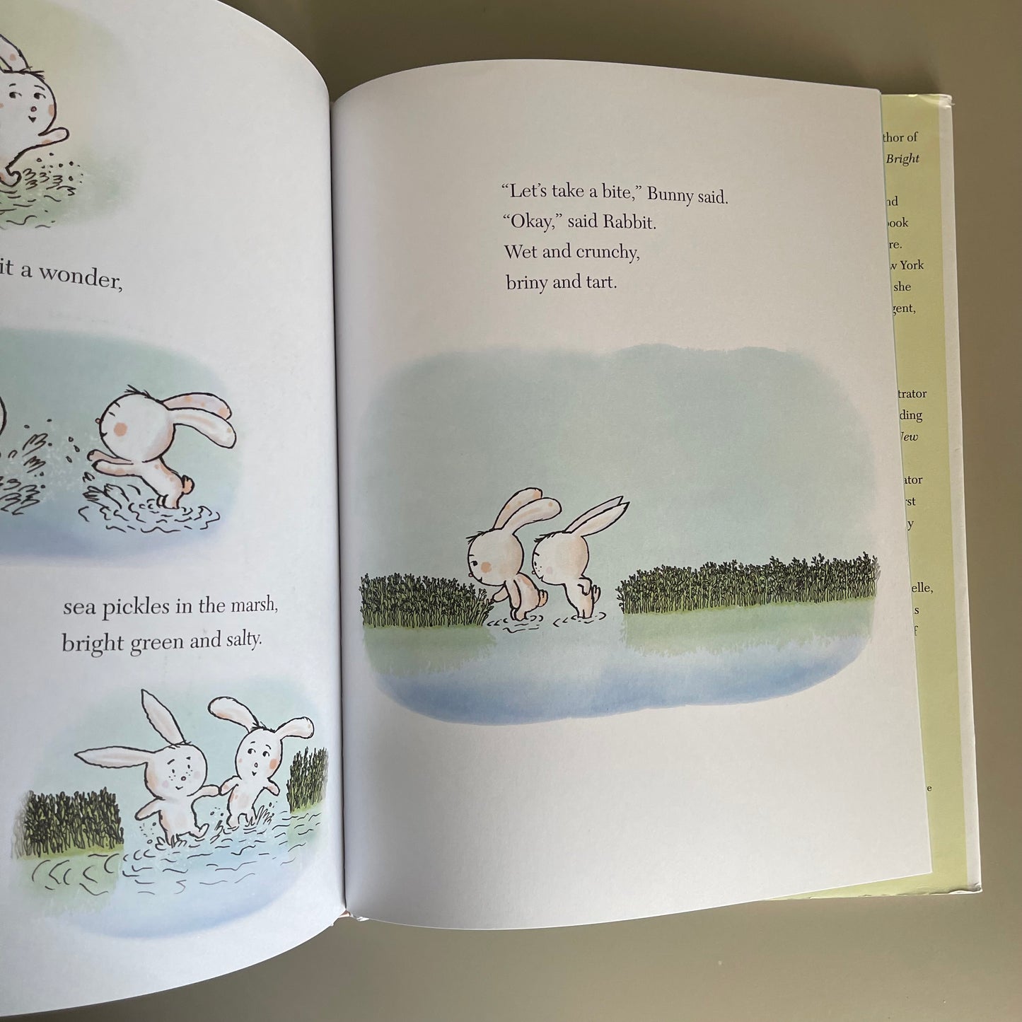[Brand New] What the World  Could Make - A Story of Hope / Holly M. McGhee