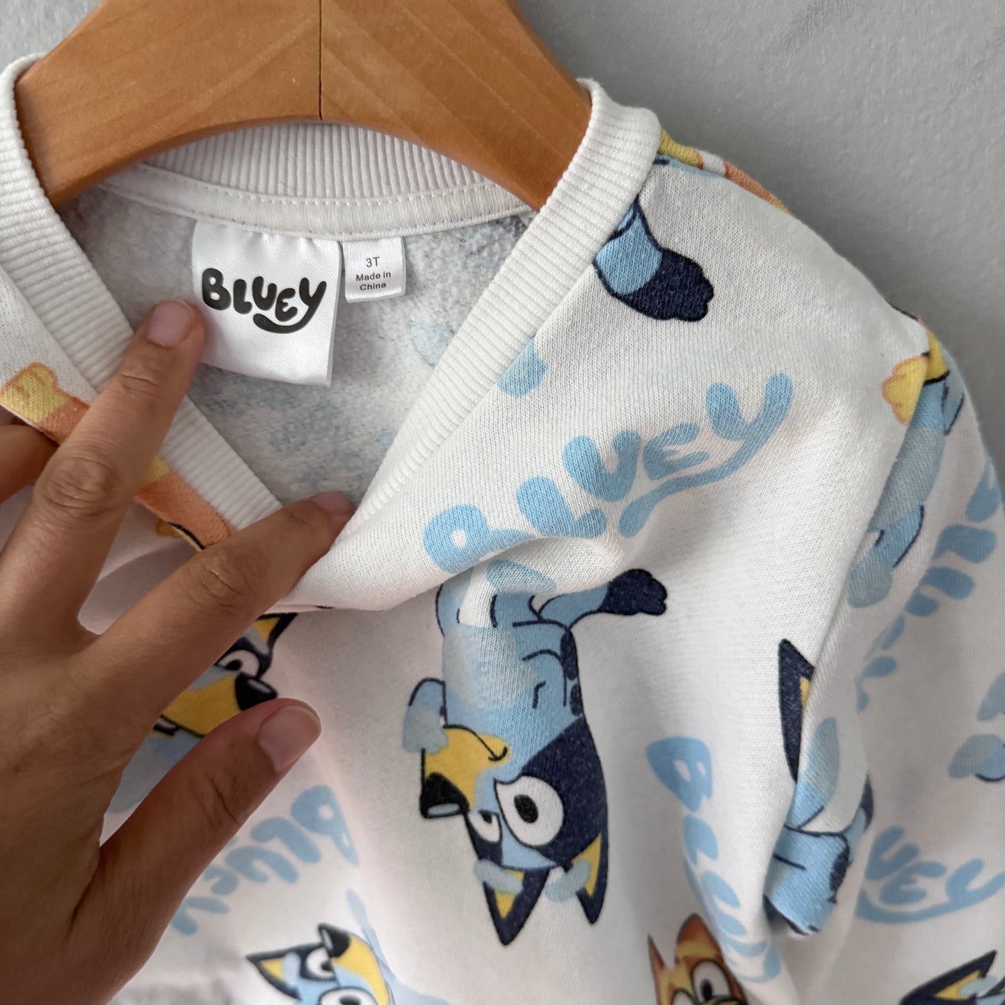 Bluey / White sweatshirt / 3T