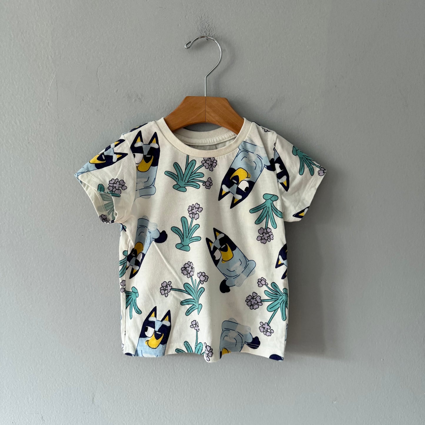 Bluey / White T-shirt / 3T