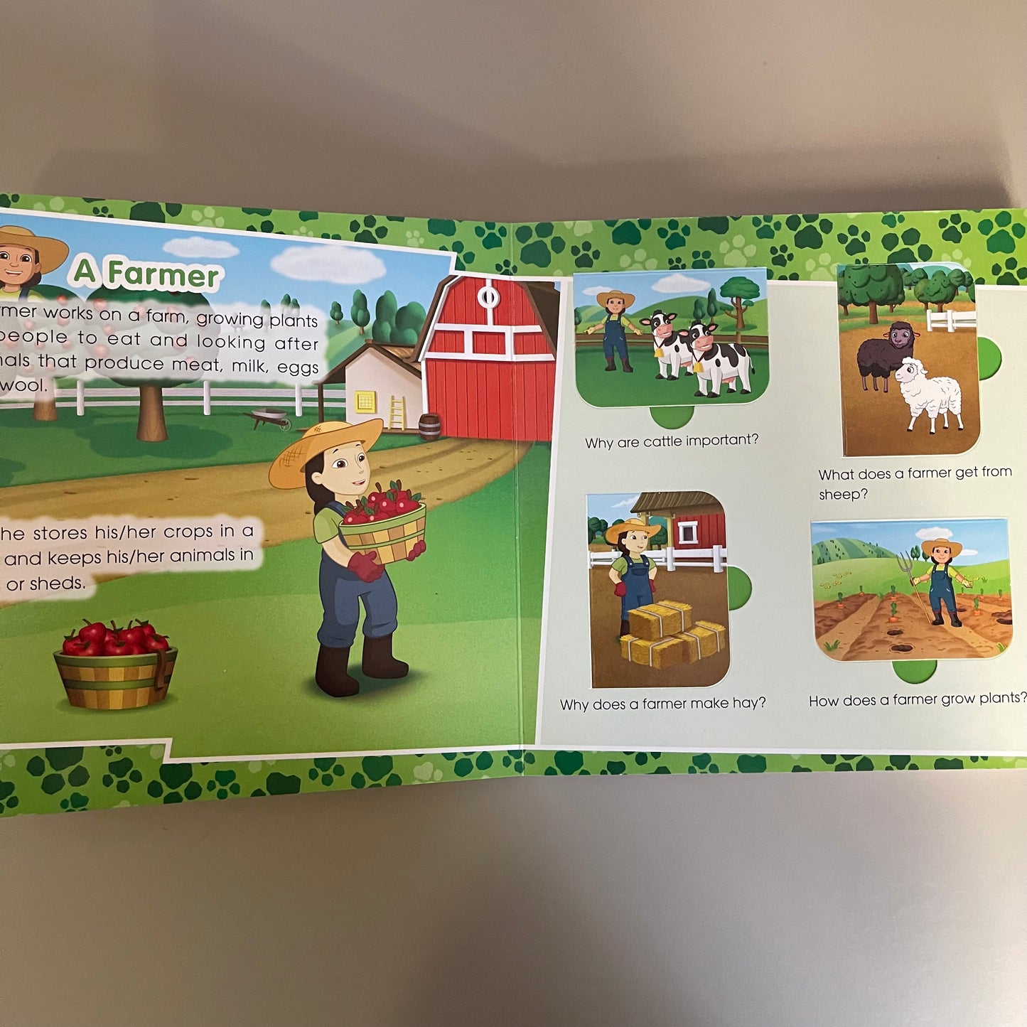Paw Patrol - Questions and Answers About Jobs and Occupations (Lift-the-flap Book)