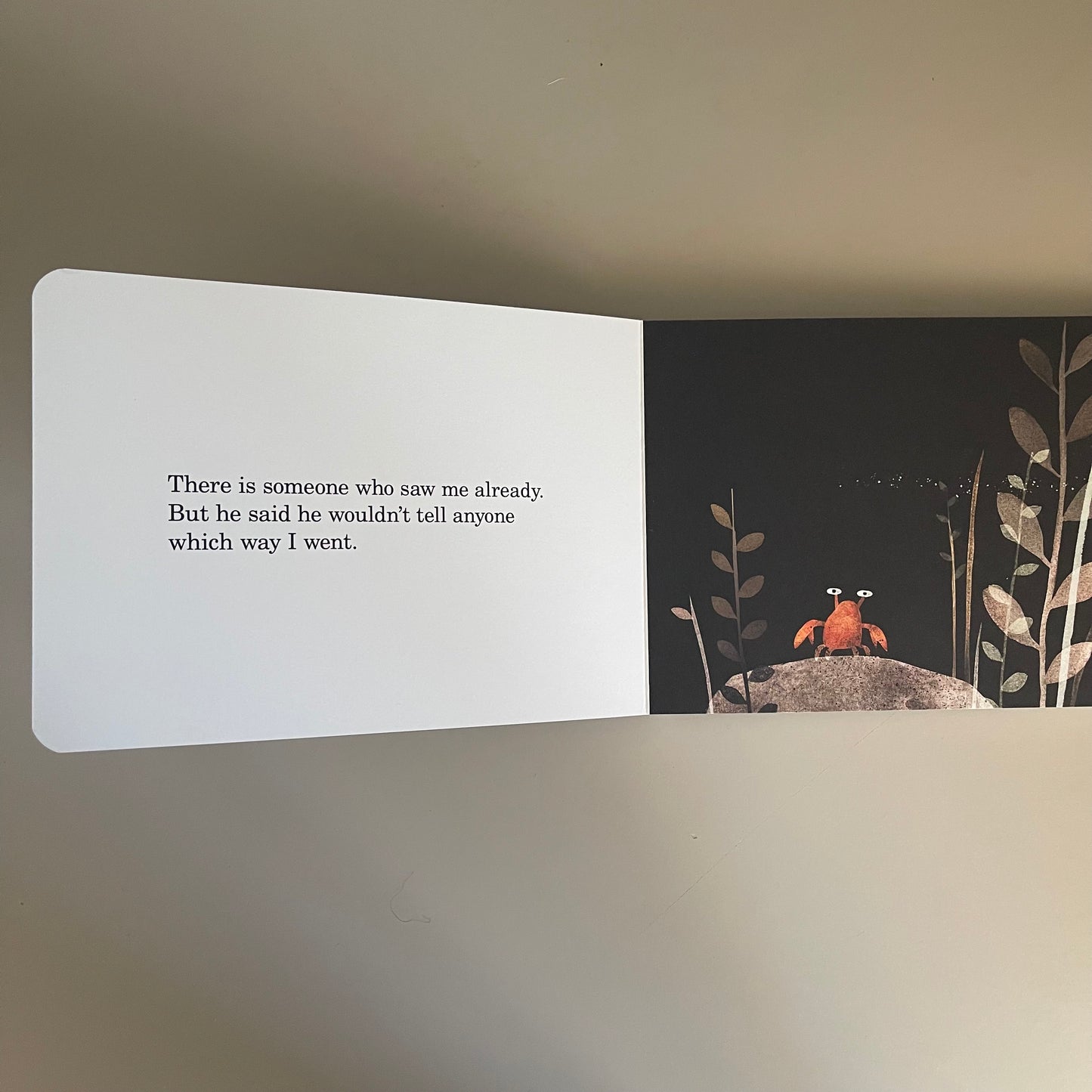 This is Not My Hat / Jon Klassen