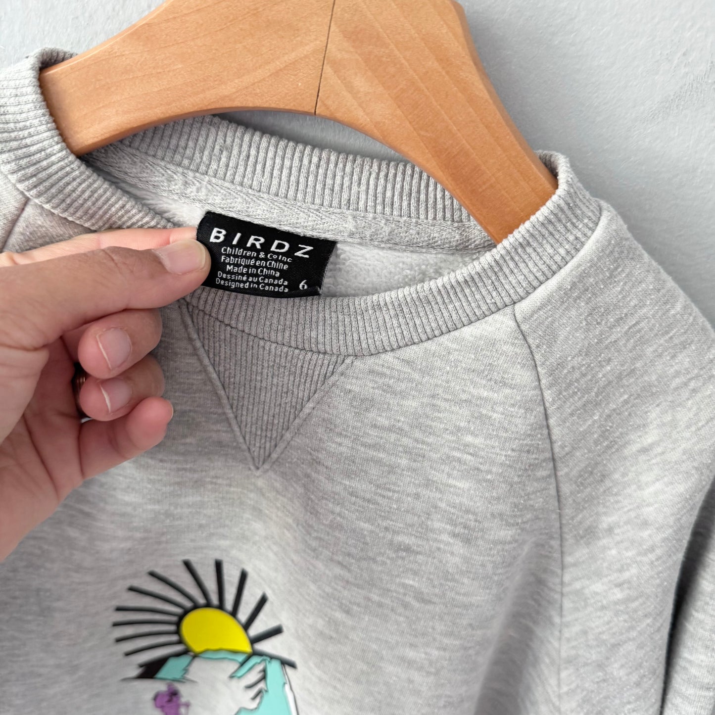 Birdz / Light grey sweatshirt / 6Y