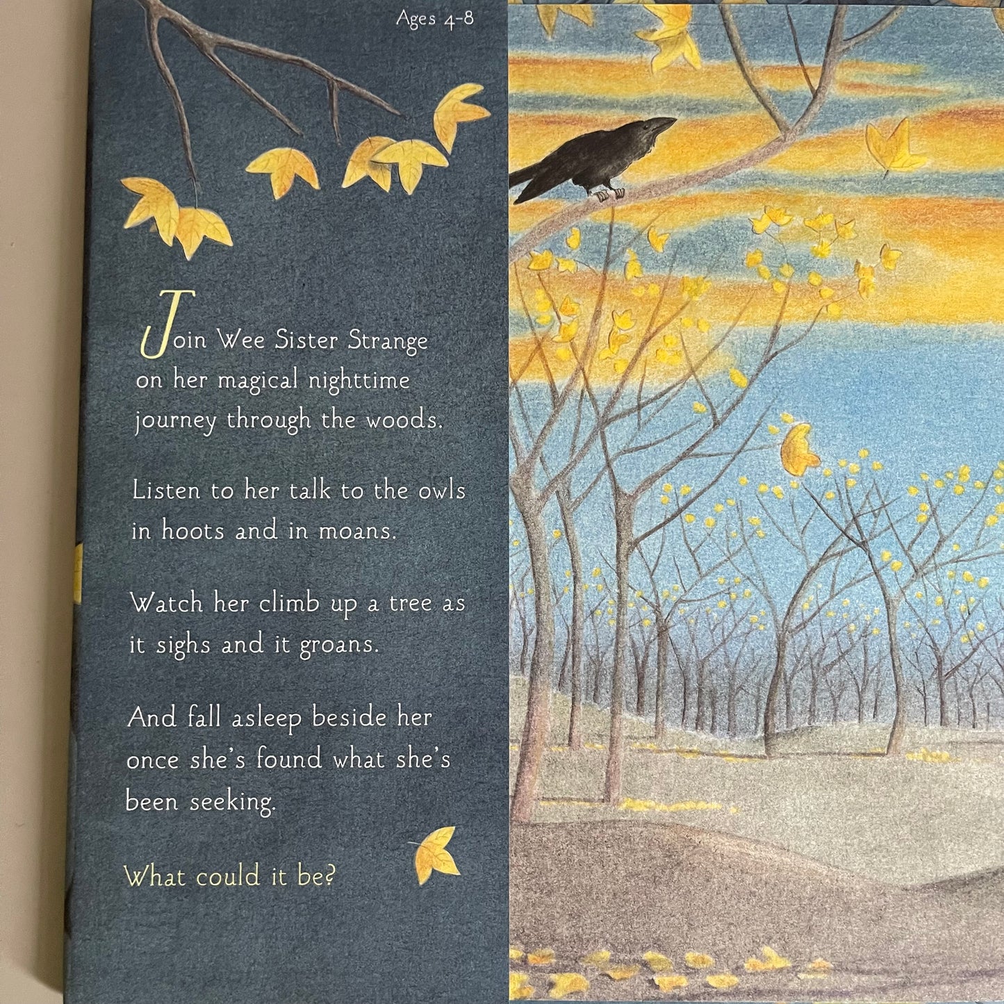 Wee Sister Strange / Holly Grant