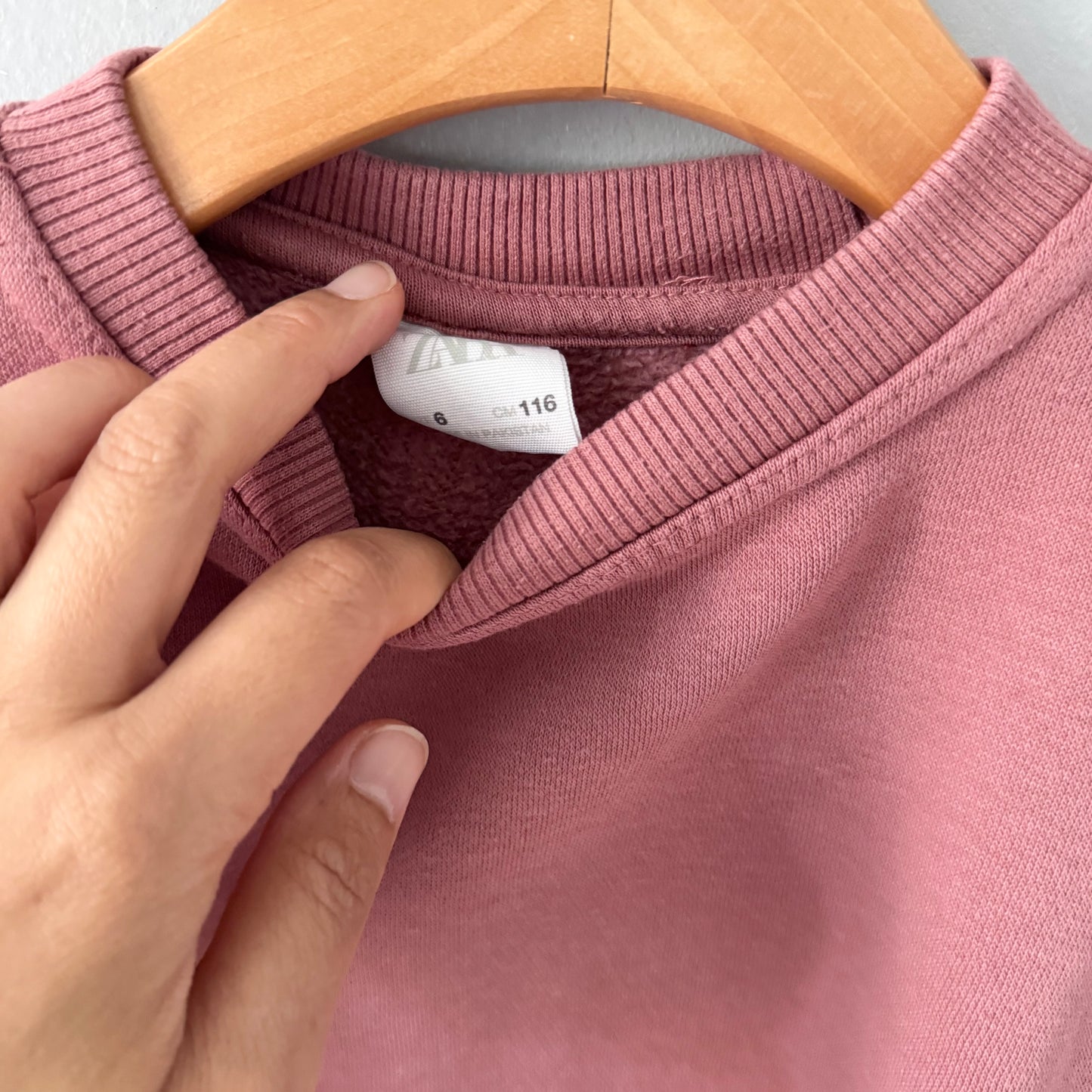 Zara / Red/pink brown sweatshirt / 6Y