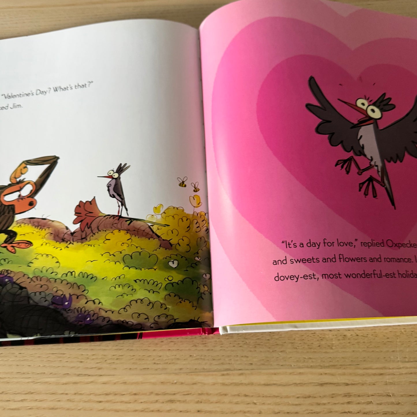 Le singe grincheux - Le monstre de la Saint-Valentin / Suzanne Lang