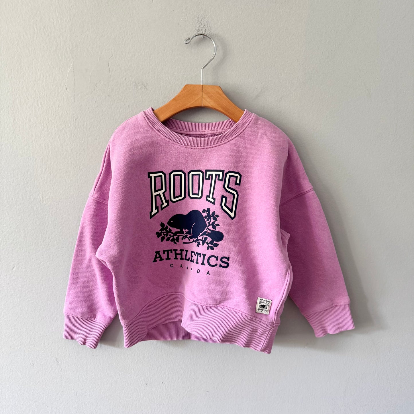 Roots / Purple sweatshirt / 5T