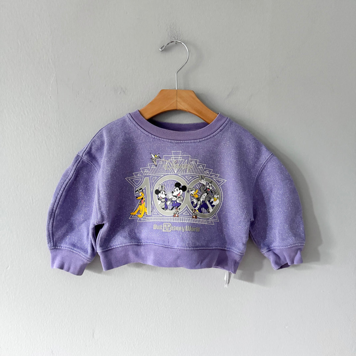 Disney 100 / Purple sweatshirt / 2T