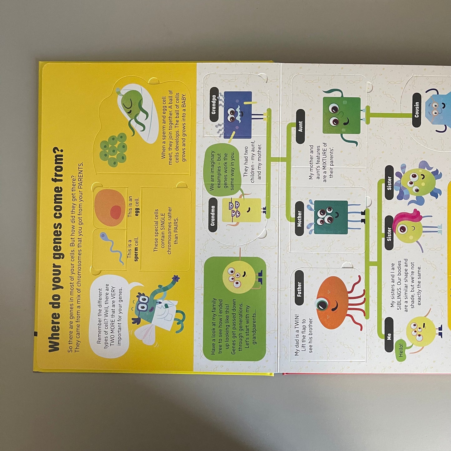[Brand New] Usborne Lift-the-flap:  See Inside Genes and DNA