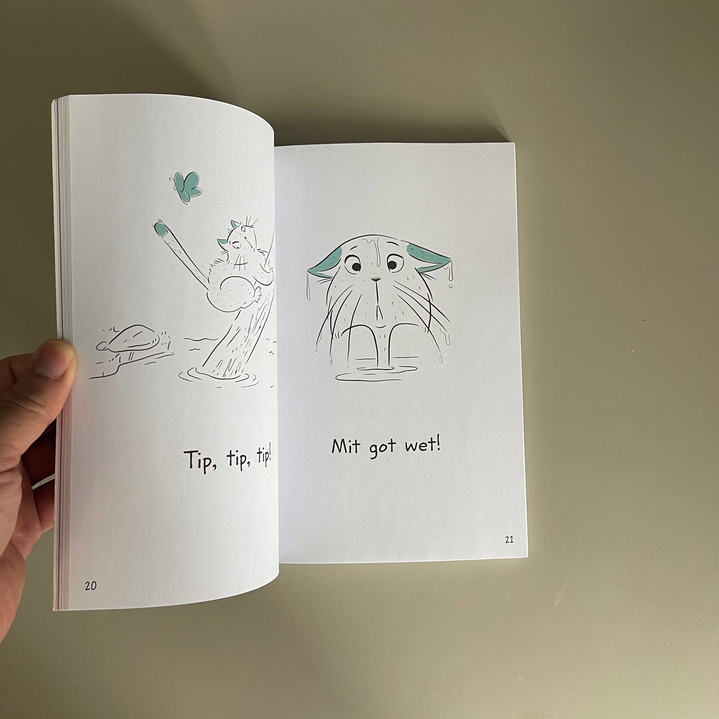 BOB Books - Stories for Early Readers (12 Decodable Stories)