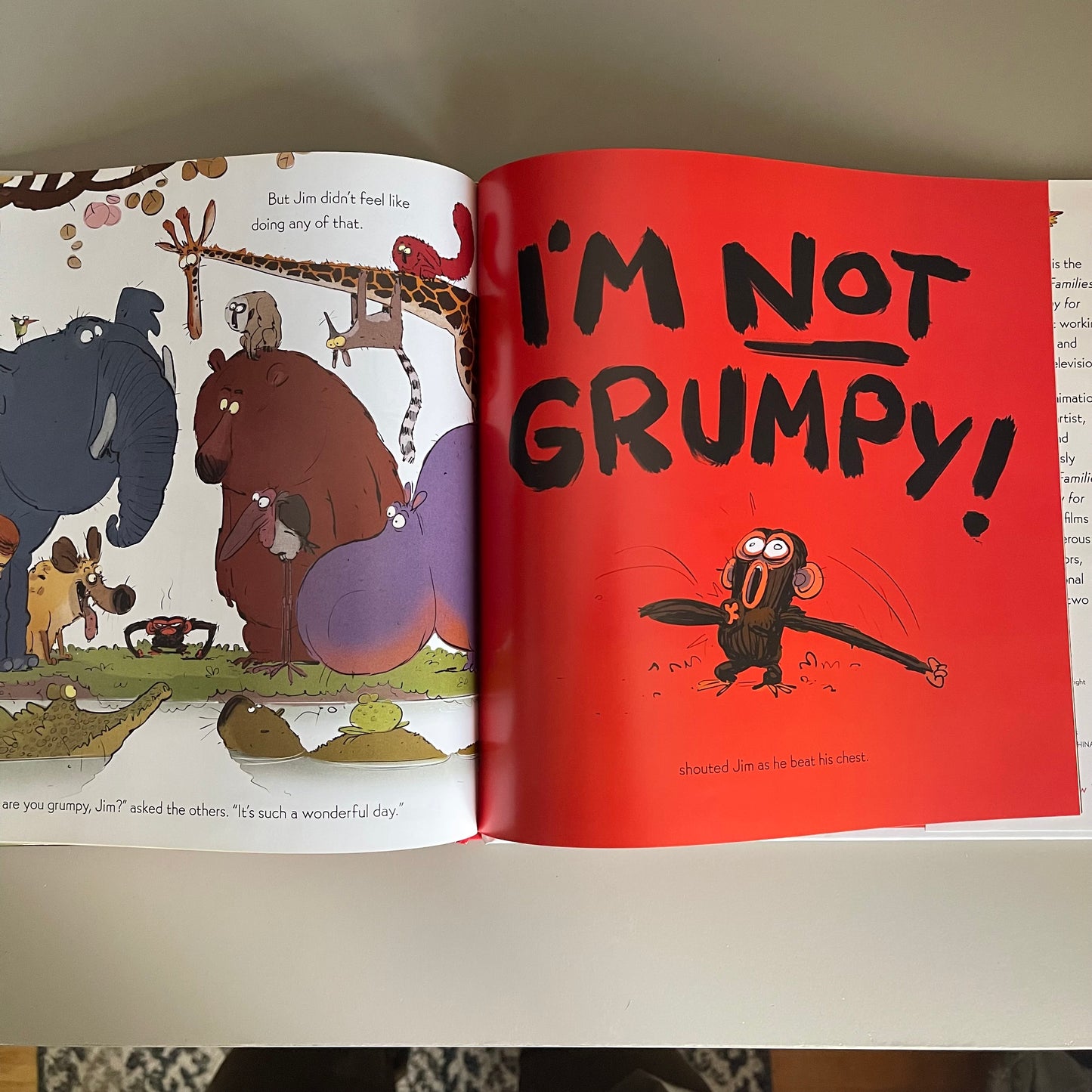 Grumpy Monkey / Suzanne Lang
