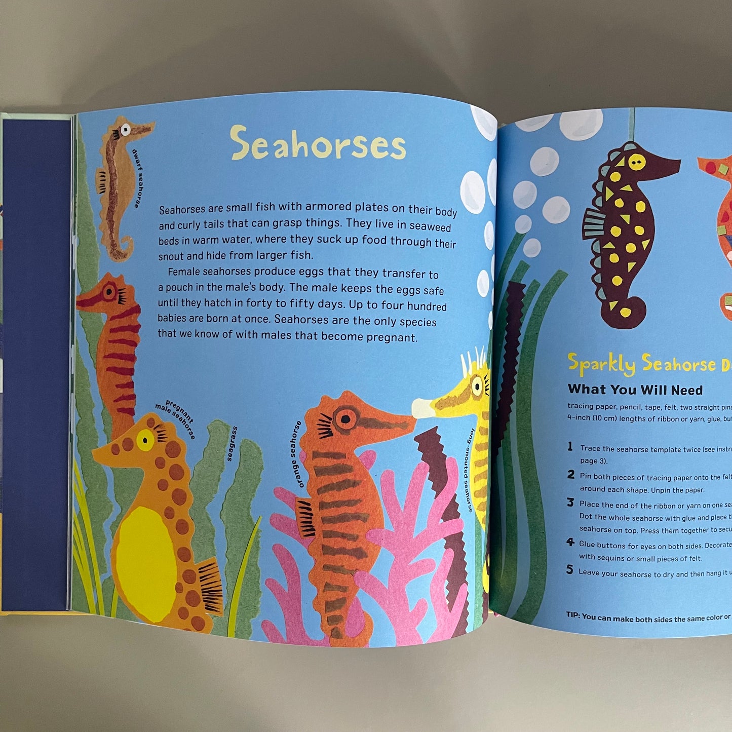 [Brand New] The Ocean Craft Book / Clare Beaton & Rudi Haig