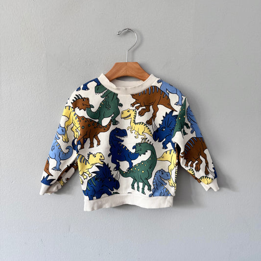 H&M / White x disosaur sweatshirt / 18-24M