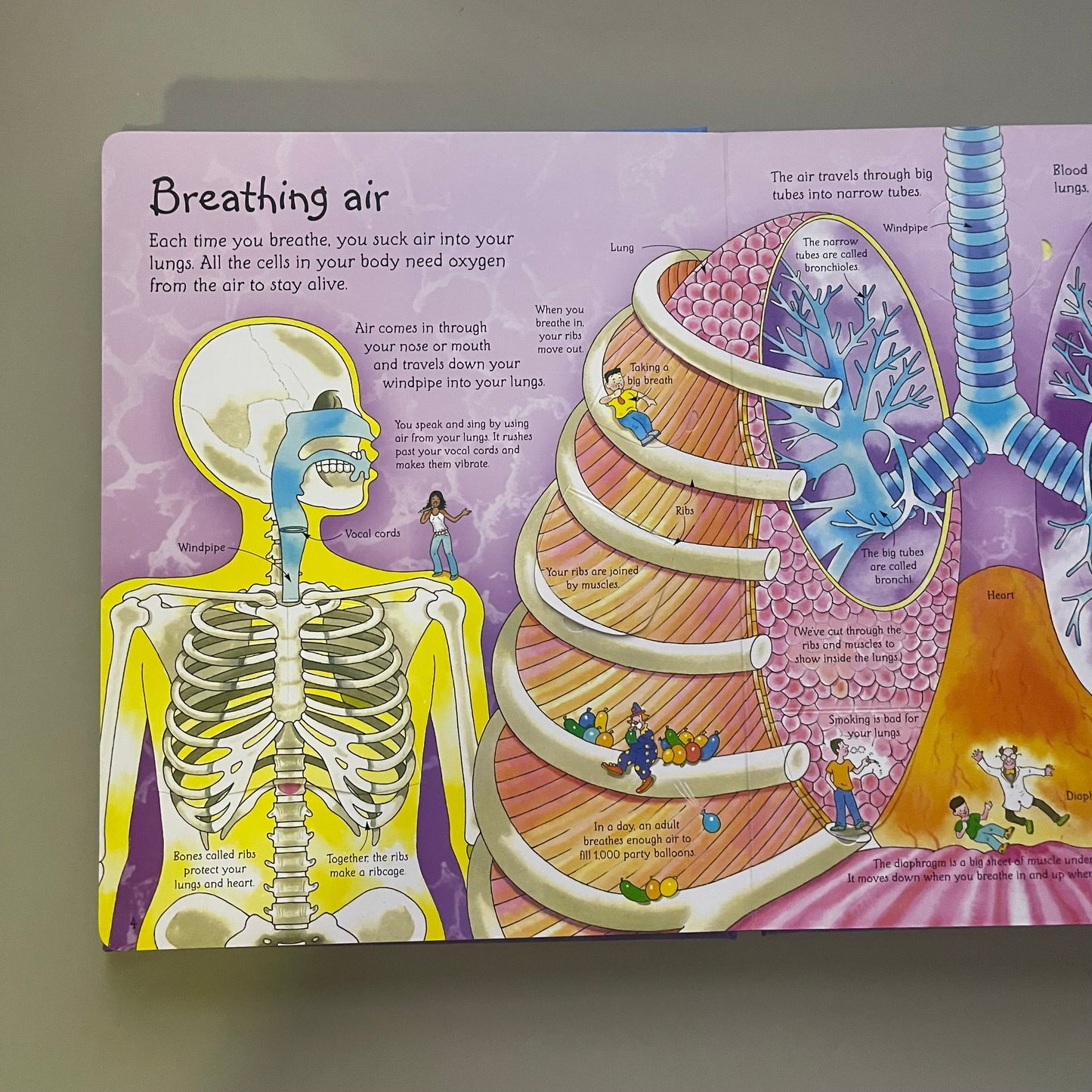 Usborne Flap Book - See inside Your Body