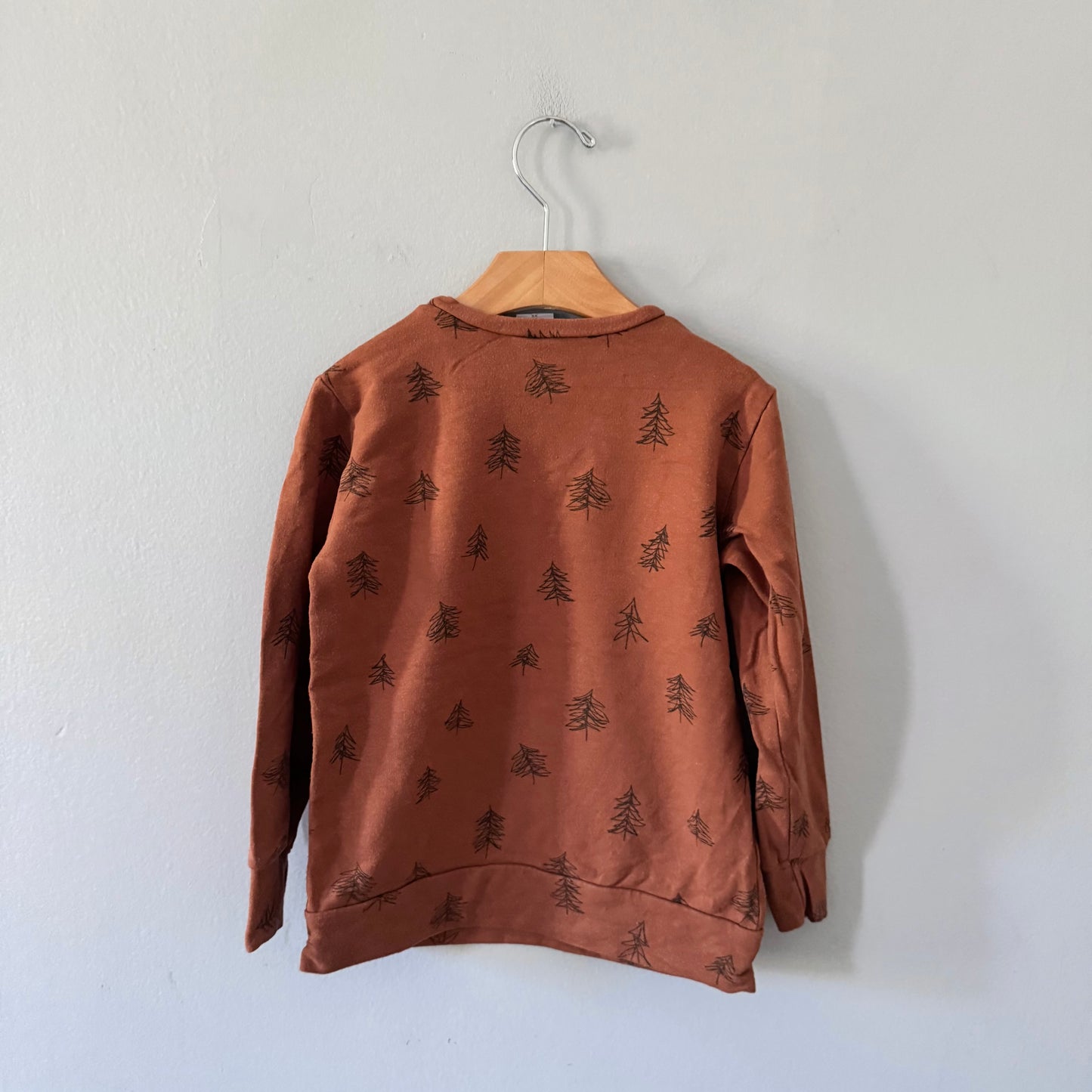 Posh & Cozy / Brown sweatshirt / 3-4Y