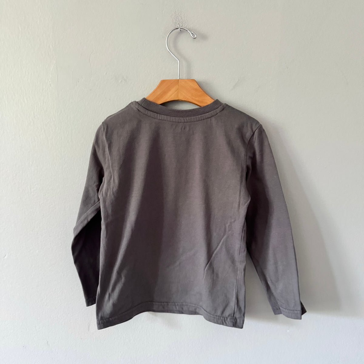 Bluey / Halloween long sleeve / 4T