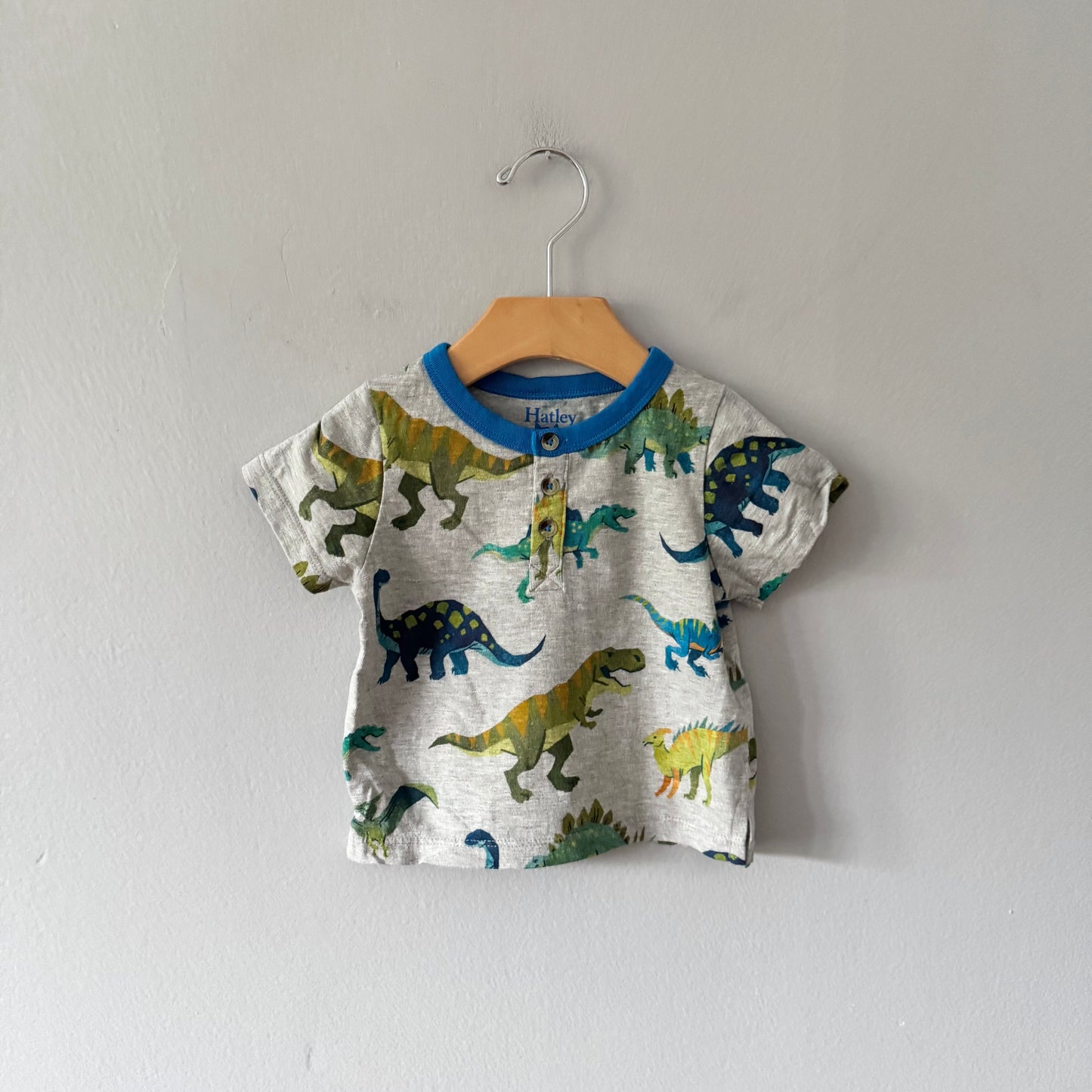 Hatley / Grey x dinosaur T-shirt / 9-12M