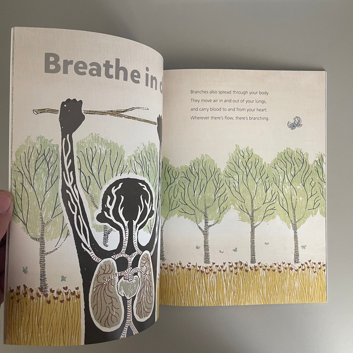 Flow Spin Grow - Looking for Patterns in Nature / Patchen Barss & Todd Stewart
