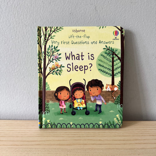 [Brand New] Usborne Lift-the-flap - What is Sleep?