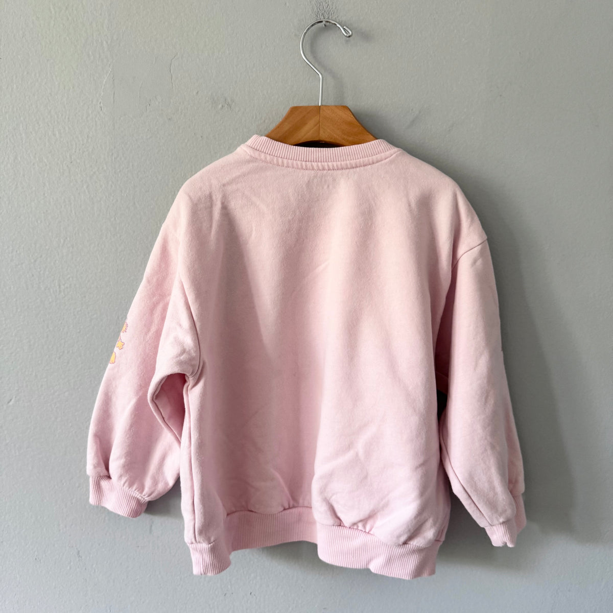 Sesame Street / Light pink sweatshirt / 5T