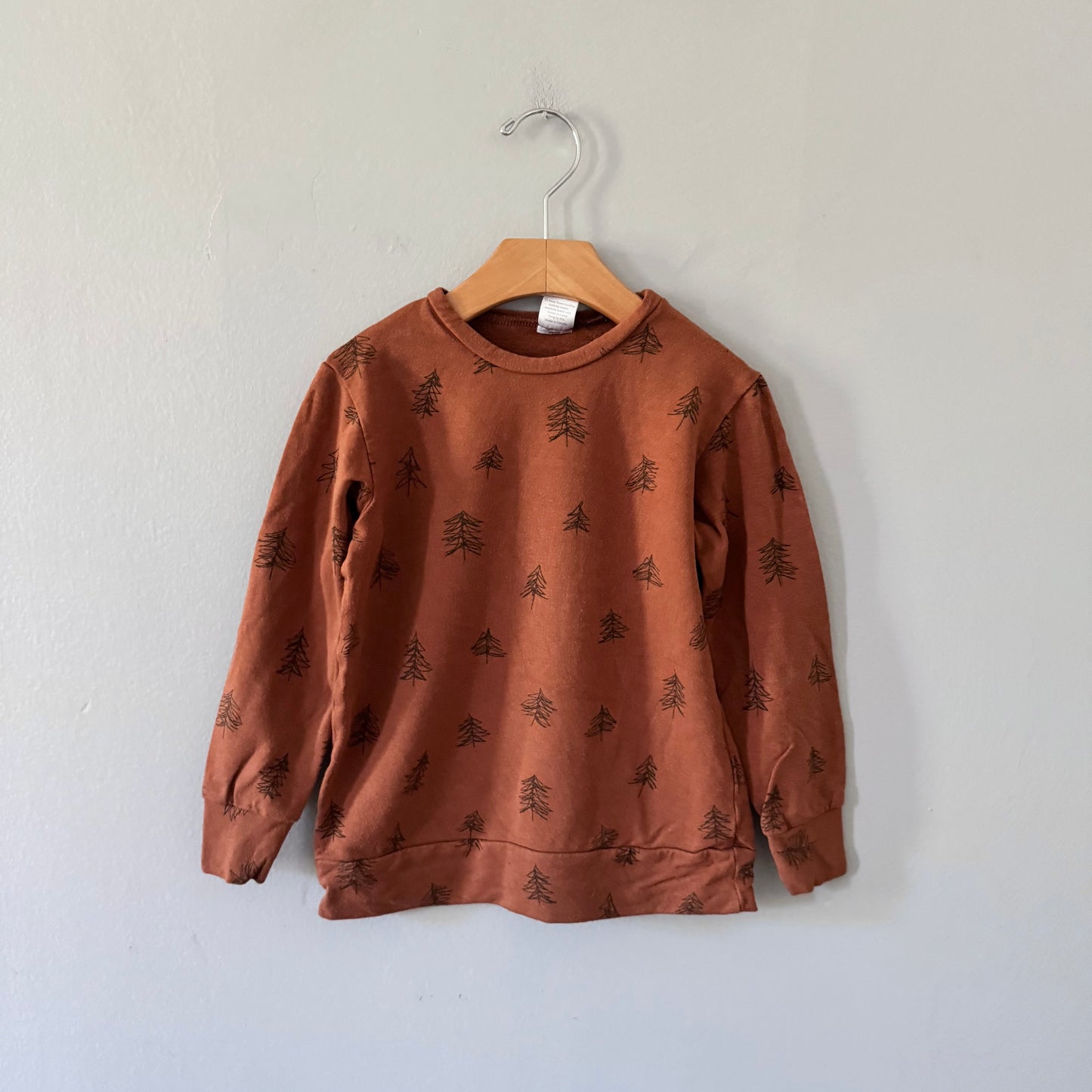 Posh & Cozy / Brown sweatshirt / 3-4Y