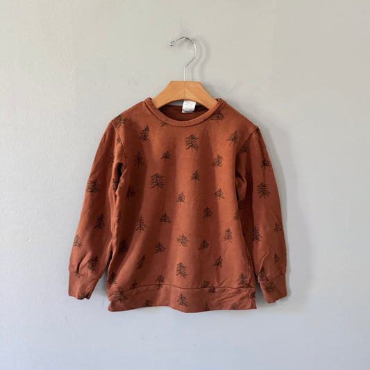 Posh & Cozy / Brown sweatshirt / 3-4Y