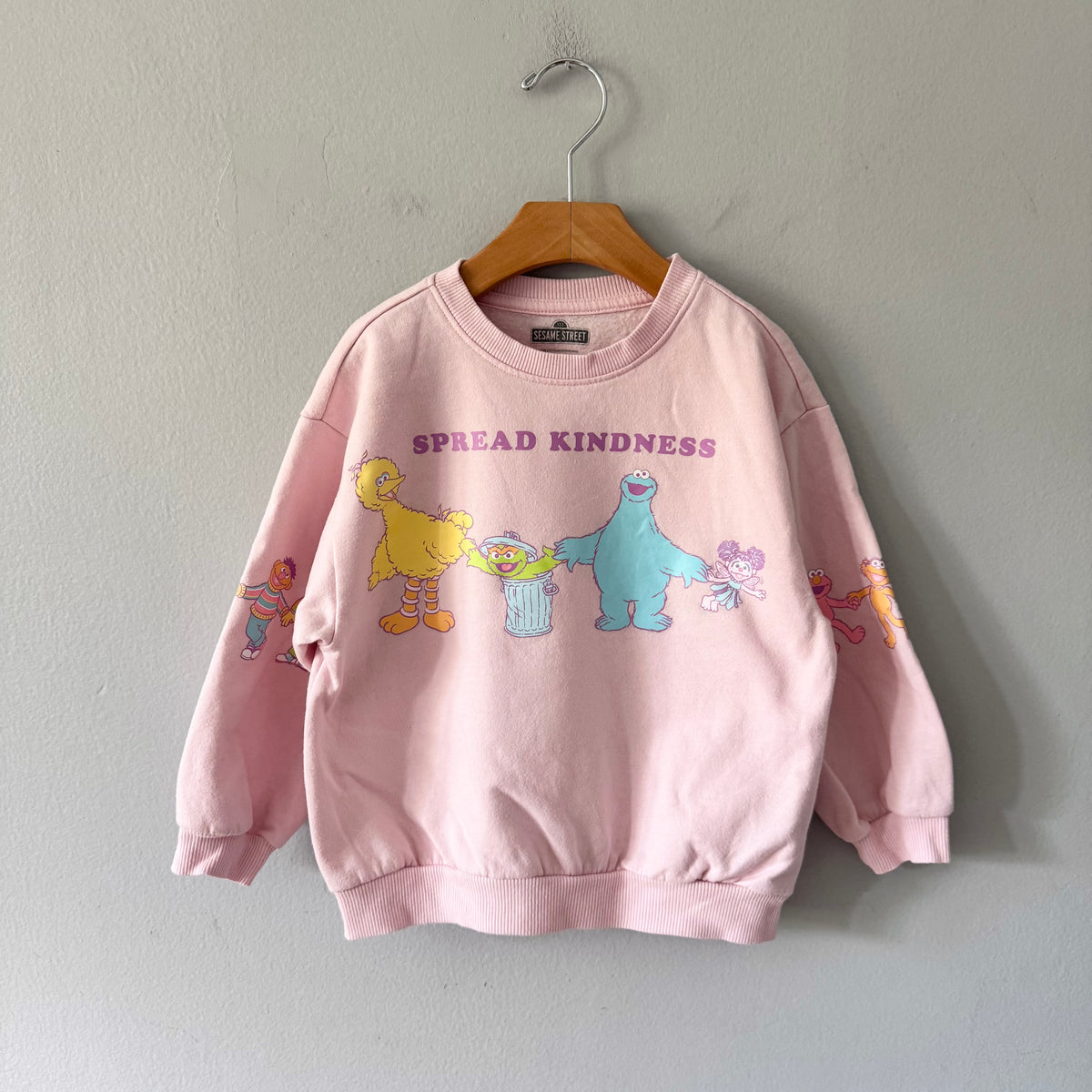 Sesame Street / Light pink sweatshirt / 5T