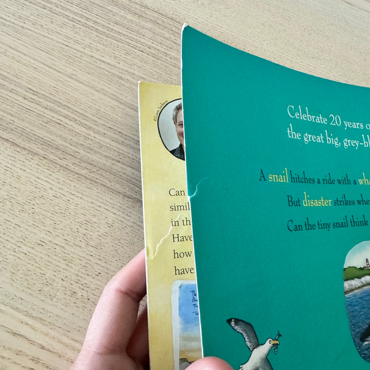 The Snail and the Whale / Julia Donaldson & Axel Scheffler